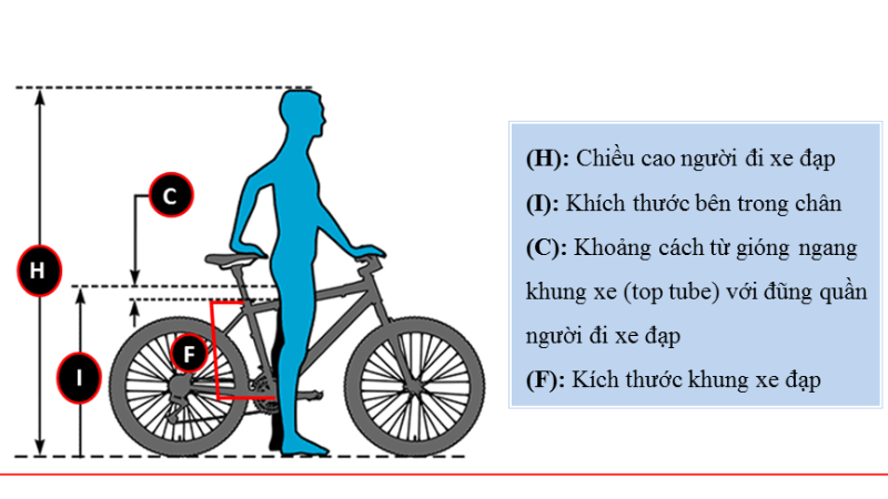 _cach-phong-tranh-chan-thuong-khi-dap-xe-hieu-qua3.png