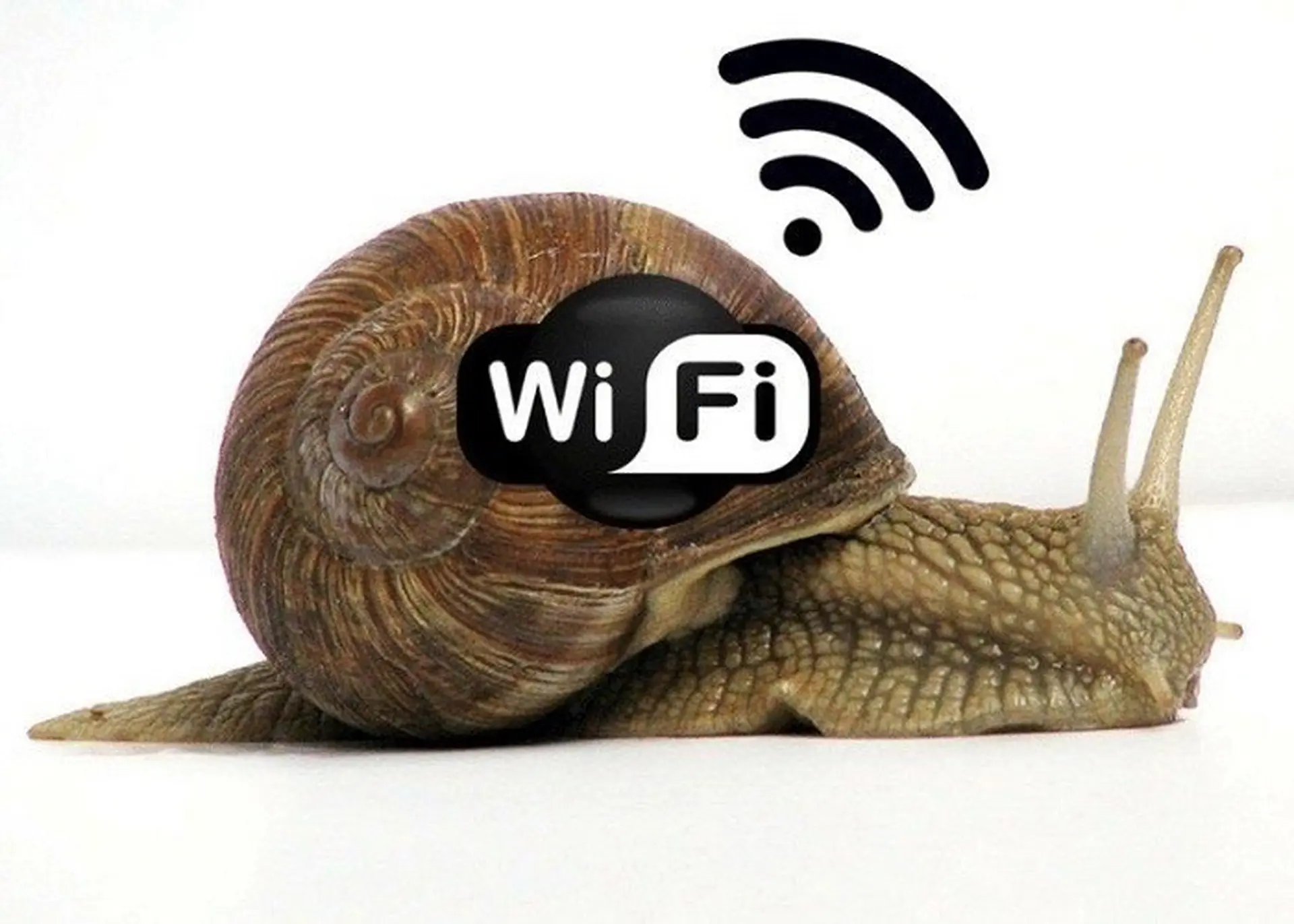 1763027579_song-wifi-manh-nhung-vao-mang-yeu.webp